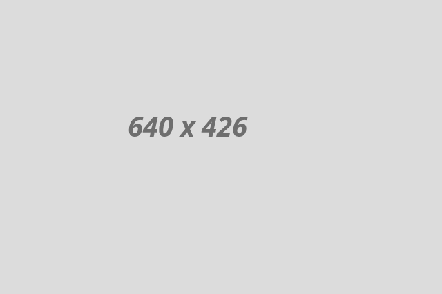 banner3